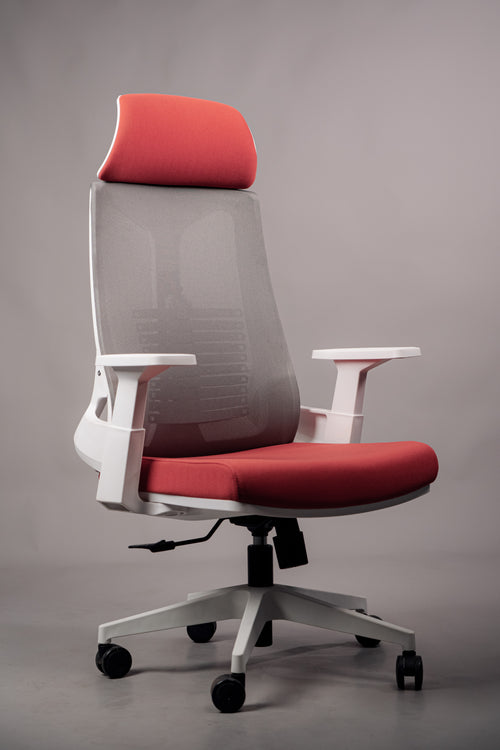 Confortus